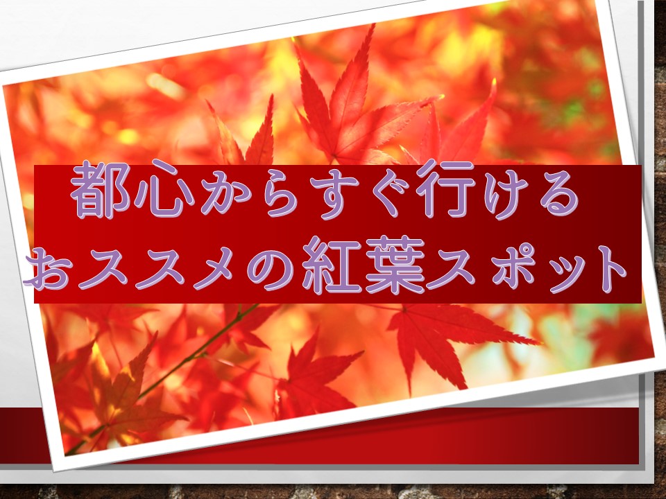 東京から日帰りでいける紅葉スポットとは 秋ならではの絶景を堪能できるおススメの場所 京王プレッソイン大手町 ブログ